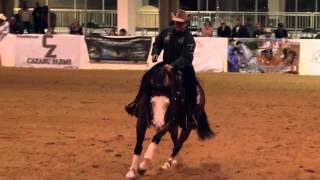140301 Shawn Flarida on Yankee Gun Open Derby Score 234 video horse racing
