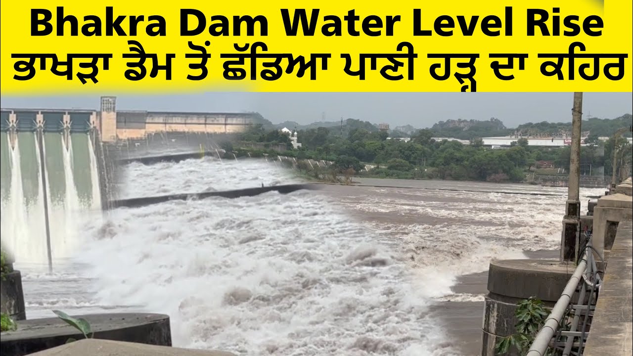Bhakra Dam Water Level Rise | ਭਾਖੜਾ ਡੈਮ ਤੋਂ ਛੱਡਿਆ ਪਾਣੀ ਹੜ੍ਹ ਦਾ ਕਹਿਰ  Flood Gate Sutlej River
