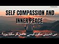 Self Compassion and Inner Peace | FikrLess
