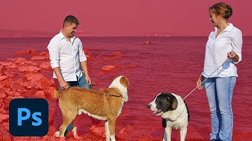 Photoshop Sneak Peek: Select Subject in Photoshop CC | Adobe Photoshop