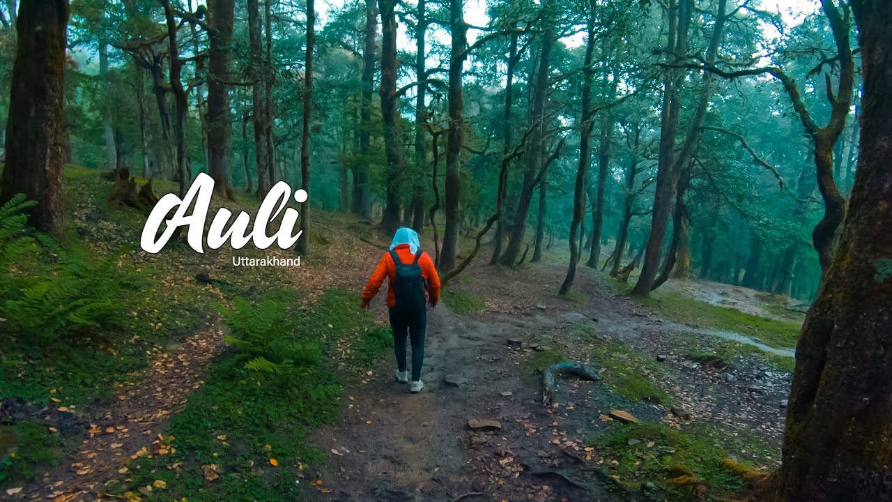 Auli Joshimath to Auli Cable Car Gorson Bugyal Uttarakhand YouTube