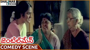 Gentleman Movie || Madhoo Funny Comedy Scene || Arjun, Madhoo || Shalimarcinema