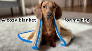 Let's knit a cozy blanket for my mini dachshund!