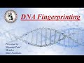 DNA Fingerprinting | DNA Profiling #dna