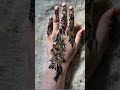 #Back hand Mahndi design 🌹🌼