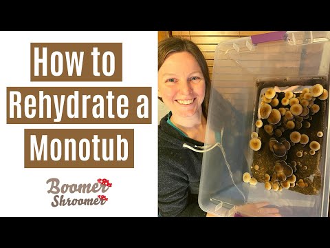 How to Rehydrate a Monotub