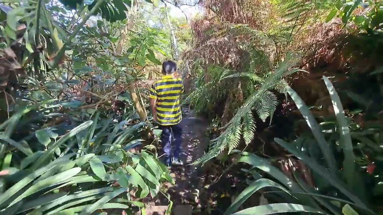 Sydney Hidden Gems [Part 6: Lex and ruby graham gardens]