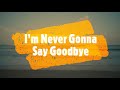 I&#39;m Never Gonna Say Goodbye - Billy Preston (Lyrics)