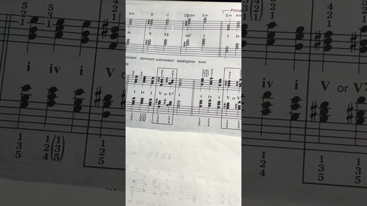 Lesion on E minor Cadences