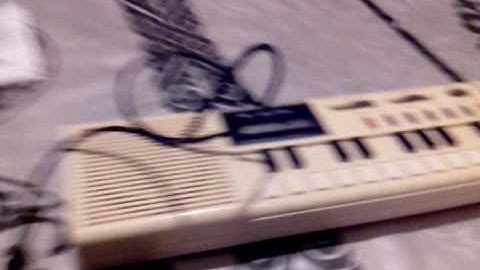 Casio VL tone & monotron delay