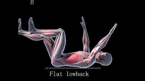 Deadbug exercise detail