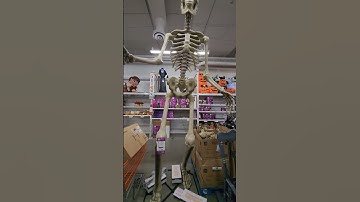 Giant Skeleton | #shorts #halloweenstuff
