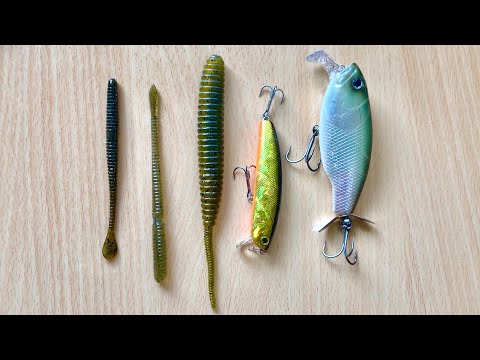 バス釣り 釣れるルアー 釣れるワーム 初夏 夏 琵琶湖 釣り動画