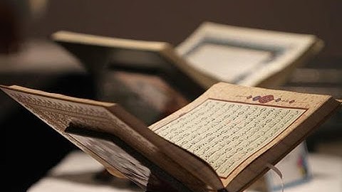 سورة الكافرون بصوت القارئ/ ناصر القطامي  Naser Al Katamy