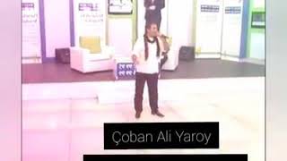 Çoban Ali Yaroy Yepyeni 2020 Resimi