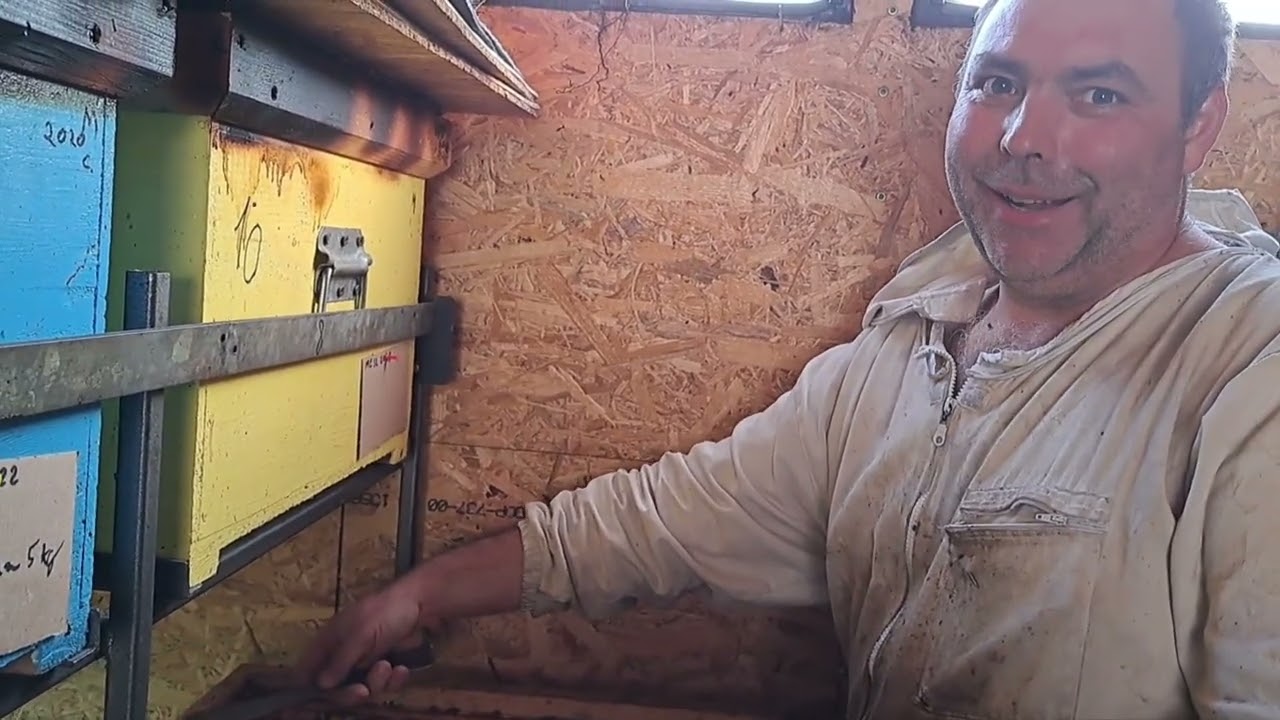 În stupina prietenului Ionuț Trofin🐝🐝🐝