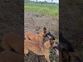 hoje o lazer foi pra eles