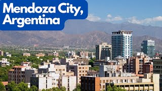 Pure Aerial Bliss: Mendoza City from Above