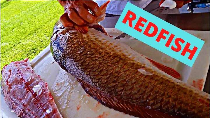 Redfish Catch Clean Cook With Jock Cenac