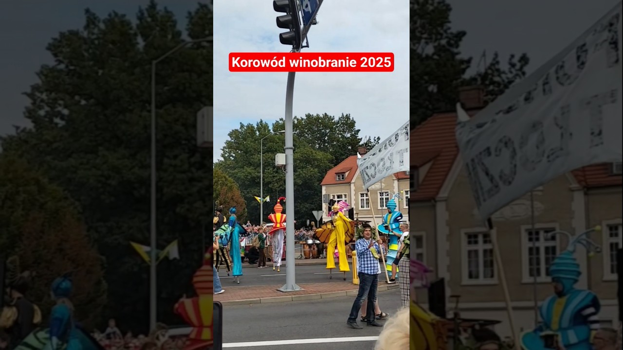 korowód winobranie zielona góra 🇵🇱 2025. Fun and Enjoyment 