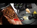 How to Roast Coffee #shorts