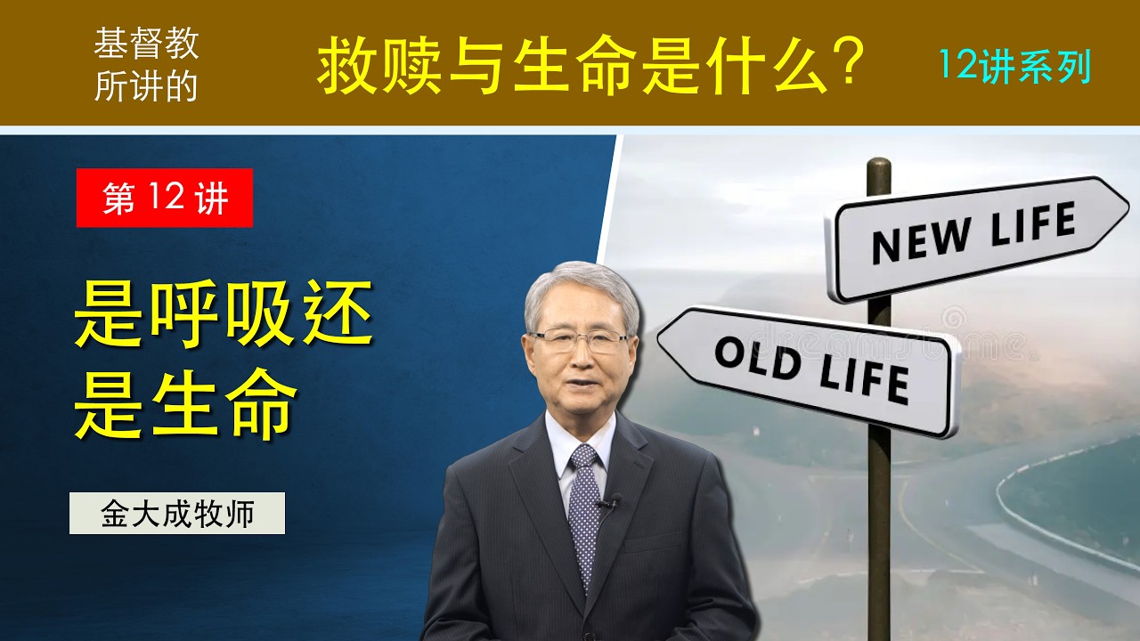 12讲 是呼吸还是生命