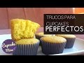 Cupcakes Perfectos Paso a Paso | CupcakeMine