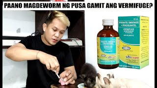 PAANO MAG DEWORM NG PUSA GAMIT ANG VERMIFUGE?