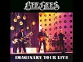 Bee gees  irresistible forcethe shape of things to come live at imaginary tour fan made audio