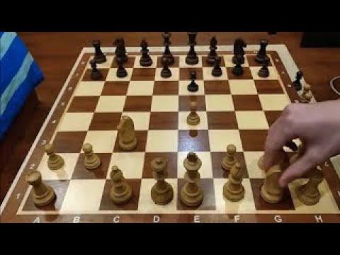 Видео: ЖЕРТВА ФЕРЗЯ на 2 ХОДУ! Самая БЫСТРАЯ ЛОВУШКА в шахматах! Шахматы ЛОВУШКИ.