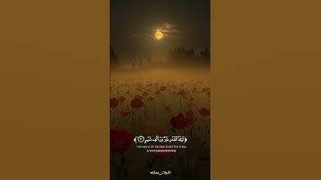 سوره القدر 🌿تلاوه للشيخ حسام الدين عبادي 🌿 تلاوات مباركه #quran #shortvideo