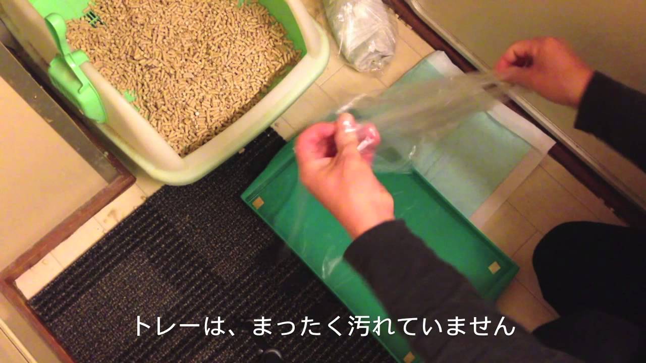 これは簡単 猫トイレ掃除 Youtube