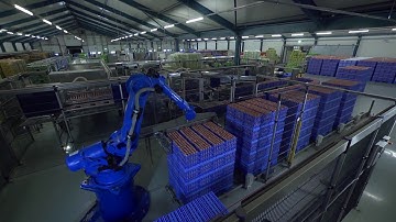 The EggsCargoSystem® at work at grader station