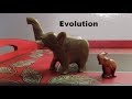 Evolution by the battersby duo