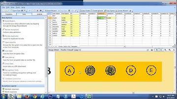 Remark Office OMR Software Tutorial
