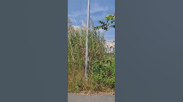 Nền GIÁ RẼ KDC PHÚ AN CẦN THƠ đường C9 GIÁ 1 TỶ 580 TRIỆU. ZALO 0939 100 228