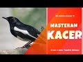 Masteran Kacer Agar Ngobra Full Isian Tembakan Gacor Bongkar Isian Roll Tembak Part Mp3 - Mp4 Download