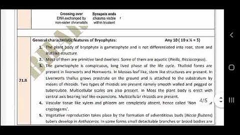 11th Biology Revision Exam Full Answer Key 2022/SD academy