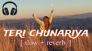 teri chunariya | lofi song | kumar sanu | alkayagnik | old song | slow reverb | BB Lofi 2006 |