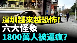 2026局勢要爆深圳出現六大怪象90%人睡不着恐逼瘋1800萬人