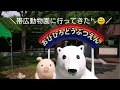 帯広動物園に行ってきた㌧！ の動画、YouTube動画。