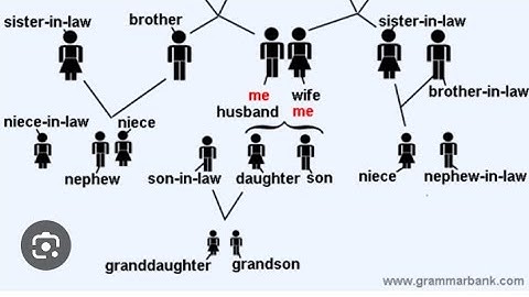 B.com V sem Employability skills in commerce unit 5 blood relations part 4