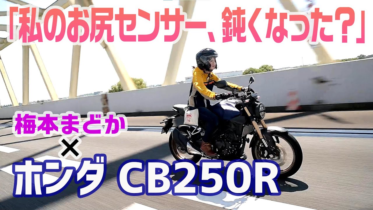 CB250R MC17 実働　(お話し中) ヤフオクでバイク購入①】CBR250R MC17 エンジンがかかるといっても