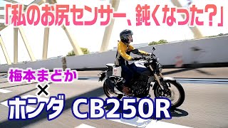「私のお尻センサー鈍くなった？」CB250Rでロングツーリングしてきました！【梅本まどかとオートバイ】