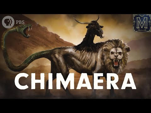 Video: Bellerophon giết Chimaera như thế nào?