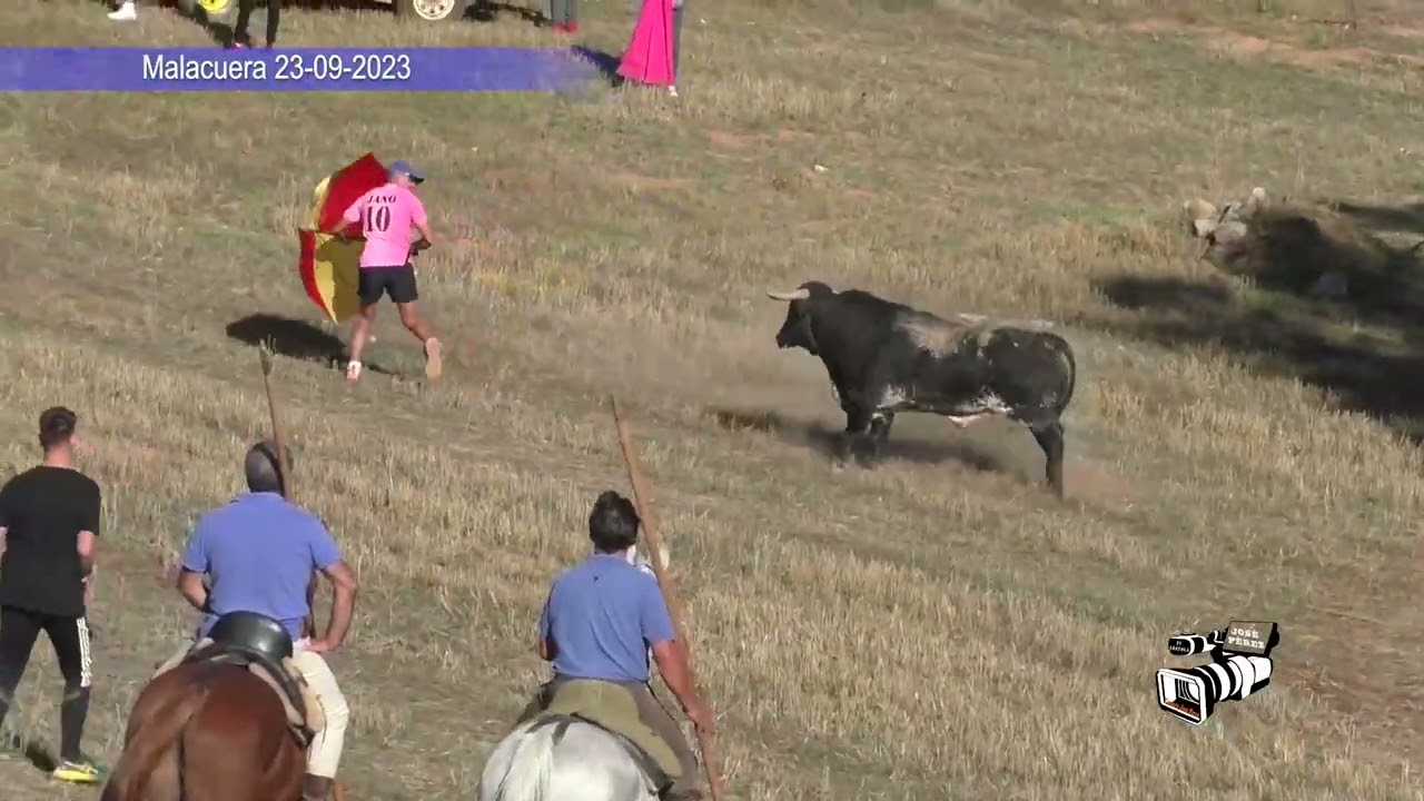 Malacuera encierro Campo 23-09-2023
