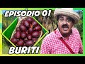 IMBILINO E OS FRUTOS DO CERRADO - EPISÓDIO 01: BURITI