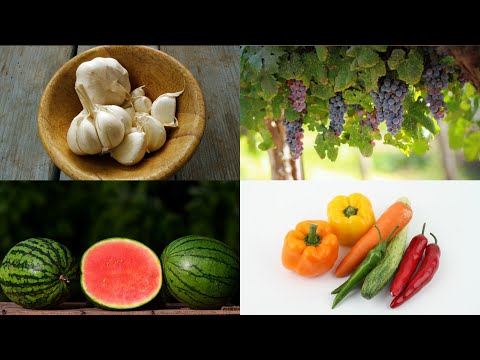 Quiz dla dzieci - owoce i warzywa (cz. 1)🍅🥕 🍏🍎🍒🍌🥑🍉