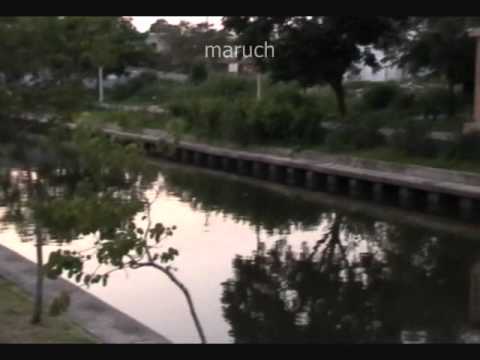 3 Karina Quintanilla Canal de la Cortadura Eddy Se...