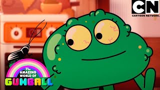 Los inadvertidos profetas | El Increíble Mundo de Gumball en Español Latino | Cartoon Network